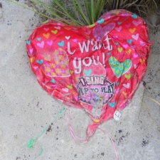 Singing Mylar Balloon singing mylar balloon polluting beach