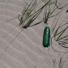Plastic Pollution single-use plastic bottle getting consumed by the dune