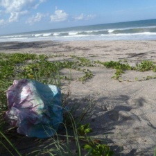 “Sweet Mom” mylar balloon litter