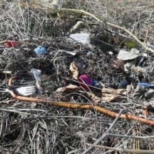 Plastic & Other Pollution