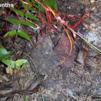 January 24, 2013 1 Year, 1 Month