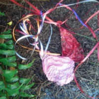 January 24, 2012 1 Month