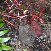 October 10, 2012 10 Months