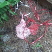 February 24, 2012 2 Months