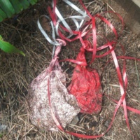 March 24, 2012 3 Months