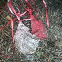 April 24, 2012 4 Months