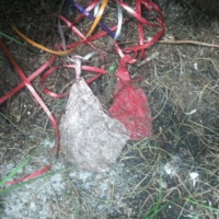 May 24, 2012 5 Months