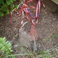 July 24, 2012 7 months