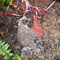 August 24, 2012 8 months