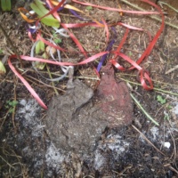 September 24, 2012 9 Months